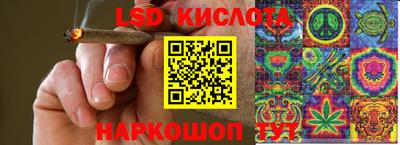 Альфа ПВП Кандалакша