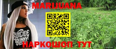 Альфа ПВП Кандалакша