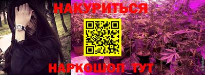 Альфа ПВП Кандалакша