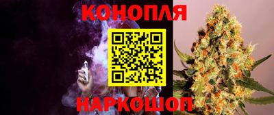 индика Канаш