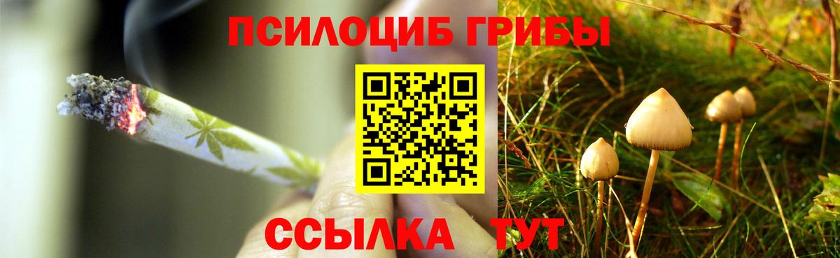 Псилоцибиновые грибы MAGIC MUSHROOMS Балтийск