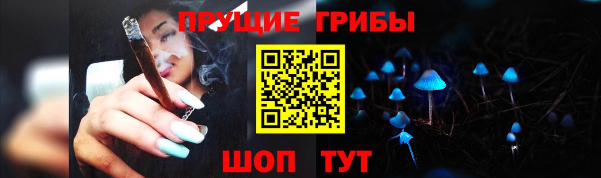 Балтийск  Псилоцибиновые грибы мицелий  Вход с VPN  Псилоцибиновые грибы мицелий 