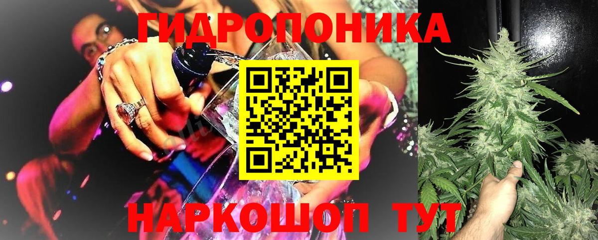 Конопля Ganja Балтийск